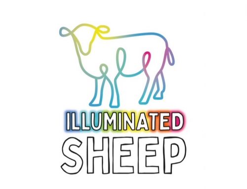 Illuminated Sheep Art Trail