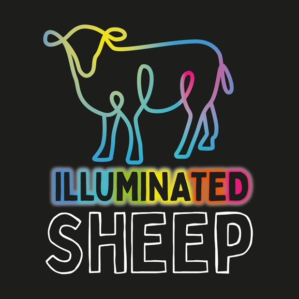 Illuminated Sheep #FindTheFlock